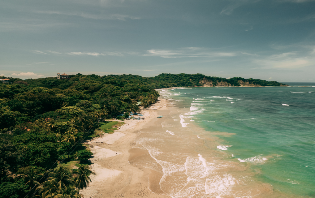 Panoramic view of a pristine beach bordered by lush greenery in Nosara, showcasing the serene and rejuvenating environment of the Blue Zone.