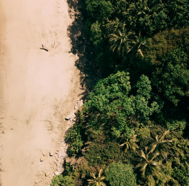 A serene aerial view of a pristine beach meeting lush tropical forest, showcasing the natural beauty of Nosara near Esh Hotel .