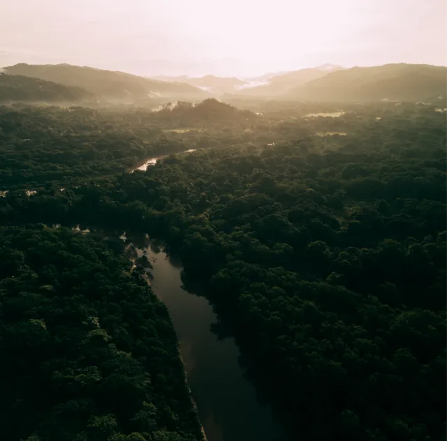 A tranquil aerial shot of a winding river surrounded by dense tropical forest, capturing the peaceful essence of Nosara near Esh Hotel .