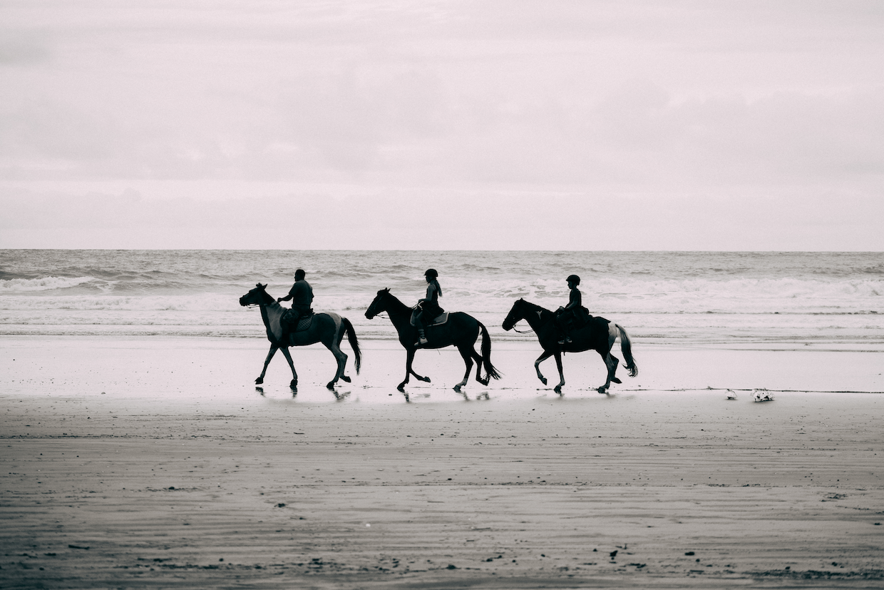 Group of people riding horses along a serene beach, enjoying a peaceful and natural experience.